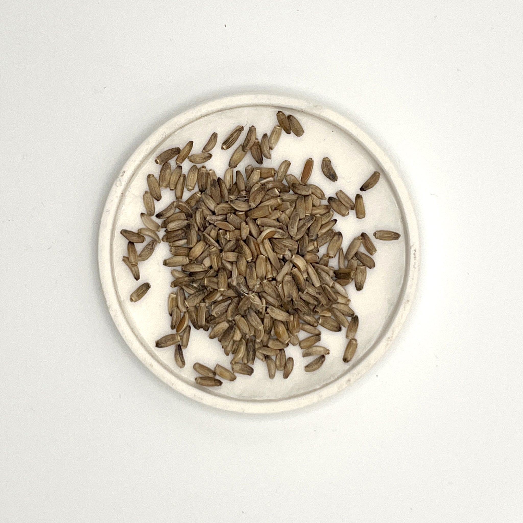 infusión cardomariano