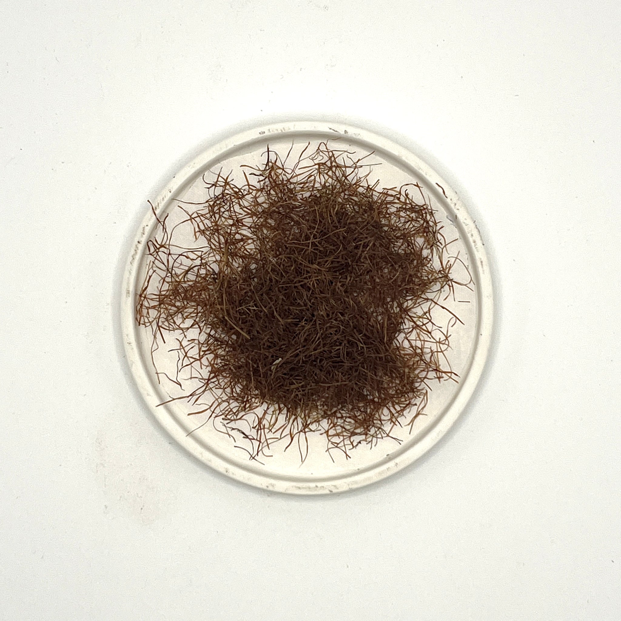 Infusión estigma de maíz