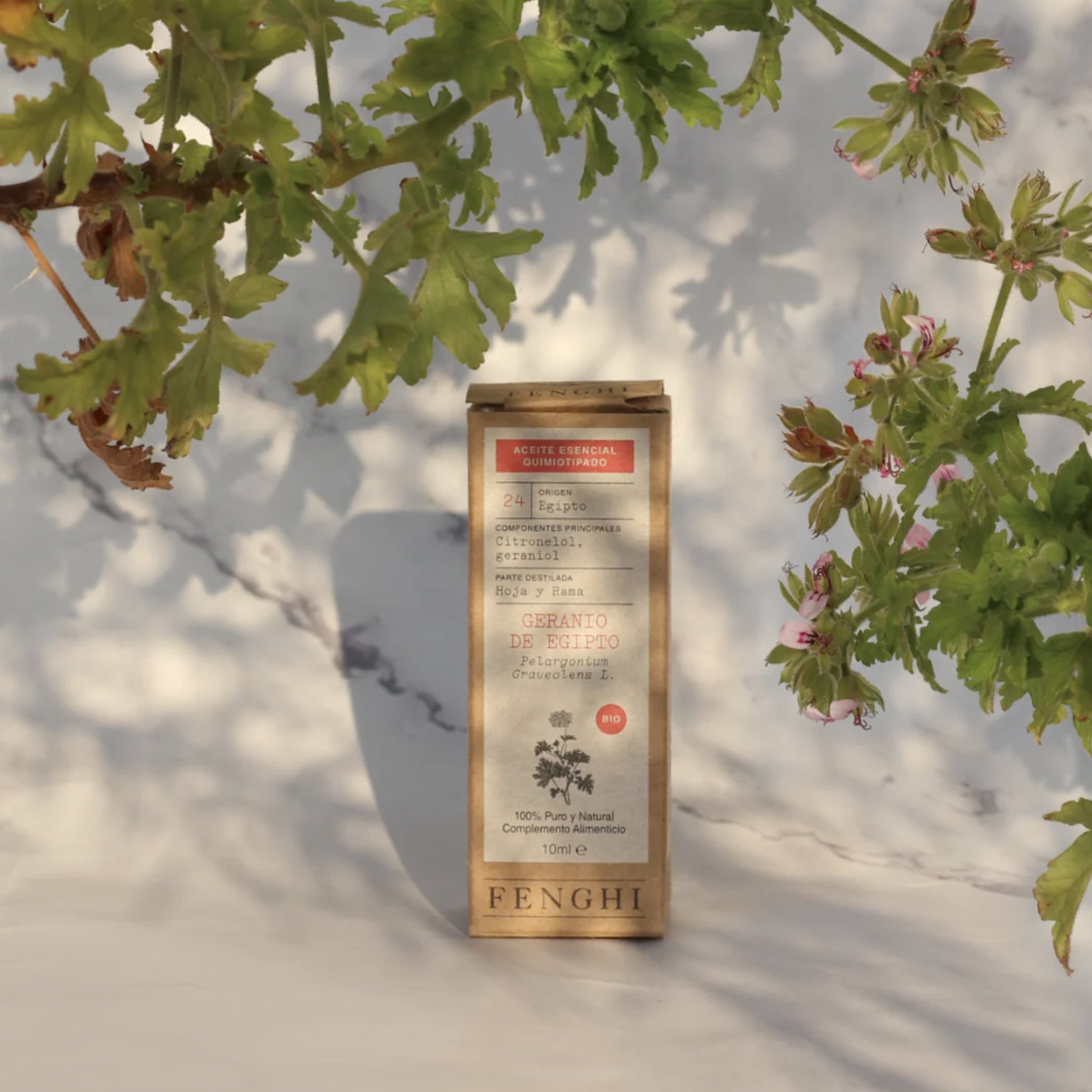 Aceites esenciales Fengui geranio de egipto